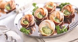 Escargots préparés x48 Helix Lucorum Surgelés en promo chez Netto Istres à 4,89 €