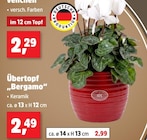 Übertopf Bergamo im Angebot bei Thomas Philipps in Mülheim Übertopf Bergamo Angebote bei Thomas Philipps Mülheim für 2,49 €
