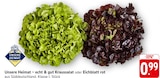 EDEKA Geisenheim - Kraussalat Angebot im Prospekt Kraussalat bei EDEKA im Geisenheim Prospekt für 0,99 €