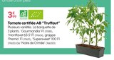 Tomate certifiée AB - Truffaut en promo chez Truffaut Montreuil à 3,99 €