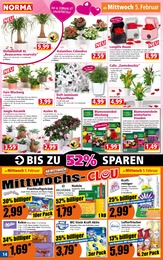 Steine Angebot im aktuellen Norma Prospekt auf Seite 14