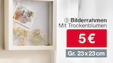 Bilderrahmen Mit Trockenblumen von  im aktuellen Woolworth Prospekt für 5,00 €