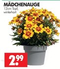 MÄDCHENAUGE im Angebot bei Wreesmann in Brandenburg MÄDCHENAUGE Angebote bei Wreesmann Brandenburg für 2,99 €
