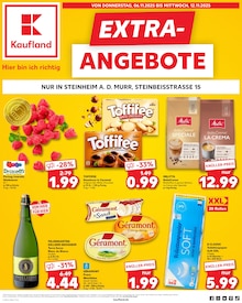Aktueller Kaufland Prospekt (Abstatt, 8 Seiten zum blättern Kaufland Prospekt EXTRA-ANGEBOTE mit 8 Seiten