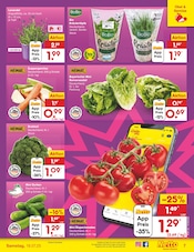 Bio im Netto Marken-Discount Prospekt in Aschaffenburg Aktueller Netto Marken-Discount Prospekt mit Bio, "Aktuelle Angebote", Seite 7