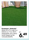 Kunstrasen "Ambrosia" für 6,49 € bei Hellweg im Angebot Kunstrasen "Ambrosia" im aktuellen Hellweg Prospekt