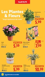 Catalogue Lidl en cours à Bourges, "Plus de 55 produits bio dans l'assiette, ça vaut le coup.", Page 28