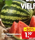 Melone im Netto Marken-Discount Prospekt Mini Wassermelone im aktuellen Netto Marken-Discount Prospekt für 1,19 €