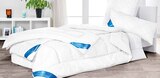 Couette - SCHLAFMOND - Möbel Martin à Metz Couette - SCHLAFMOND en promo chez Möbel Martin Metz à 59,95 €