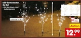 LED Gartenstecker, 3er Set Angebote bei Netto Marken-Discount Ibbenbüren für 12,99 €