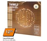 Twinkle Lighted Ball im Angebot bei Action in Wuppertal Twinkle Lighted Ball Angebote bei Action Wuppertal für 12,95 €