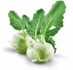 Kohlrabi im Angebot bei Netto Marken-Discount in Chemnitz Kohlrabi Angebote bei Netto Marken-Discount Chemnitz für 0,69 €