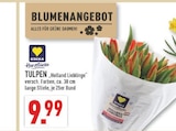Marktkauf Barntrup Prospekt mit  im Angebot für 9,99 €