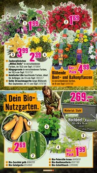 Gemüse im Hornbach Prospekt "Du willst es. Dann bau es." mit 36 Seiten (Wolfsburg)