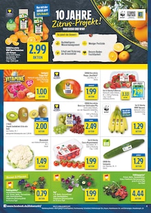 Pflanzen im diska Prospekt "alles an deinem ort." mit 12 Seiten (Chemnitz)