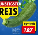 Zucchini, lose Angebote bei Lidl Dresden für 1,69 €