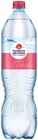 Sanft Silvan im Angebot bei REWE in Amberg Sanft Silvan Angebote von Frankenbrunnen bei REWE Amberg für 0,65 €