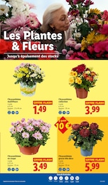Offre Aménagement Extérieur dans le catalogue Lidl du moment à la page 32