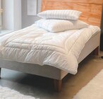 Aktuelle Kopfkissen Angebote bei Möbel Mahler Siebenlehn in Dresden Aktuelles „Magidine“ Kopfkissen Angebot bei Möbel Mahler Siebenlehn in Dresden ab 29,95 €