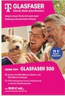 GLASFASER 300 im aktuellen Prospekt bei Post & Telekommunikation Jebahi in Halle