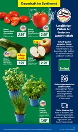 Äpfel im Lidl Prospekt in Pirna Aktueller Lidl Prospekt mit Äpfel, "LIDL LOHNT SICH", Seite 3