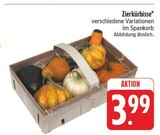 EDEKA Großenhain - Zierkürbisse Angebot im Prospekt Zierkürbisse bei EDEKA im Großenhain Prospekt für 3,99 €