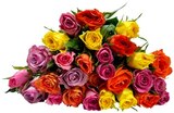 Aktuelle Blumen Angebote bei REWE in Halle (Saale) Aktuelles Rosen Angebot bei REWE in Halle (Saale) ab 3,49 €