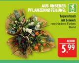 Aktuelles Tulpenstrauß mit Beiwerk Angebot bei Marktkauf in Nürnberg ab 5,99 €