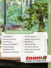 Heimwerken Angebote im Prospekt "Zimmerpflanzen 2024" von toom Baumarkt auf Seite 5