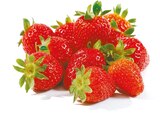 Aktuelles Erdbeeren Angebot bei Netto mit dem Scottie in Magdeburg ab 1,99 €