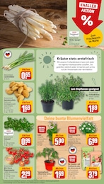 Kartoffeln Angebot im aktuellen REWE Prospekt auf Seite 7