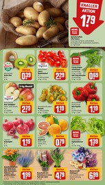Ähnliche Angebote wie Zitronenbaum im Prospekt "Dein Markt" auf Seite 11 von REWE in Leipzig