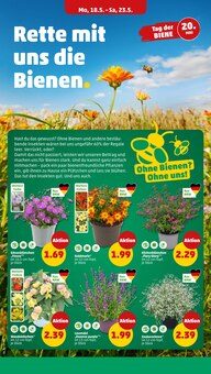 Huhn im aktuellen Penny Prospekt (Düsseldorf) Huhn im Penny Prospekt "Wer günstig will, muss Penny." mit 43 Seiten (Düsseldorf)