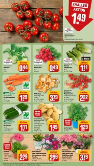 Pfifferlinge im REWE Prospekt "Dein Markt" mit 18 Seiten (Karlsruhe)