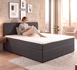 Boxbett Anton im Angebot bei Zurbrüggen in Rheda-Wiedenbrück Boxbett Anton Angebote bei Zurbrüggen Rheda-Wiedenbrück für 333,00 €