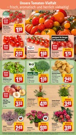 Ähnliche Blumenzwiebeln Angebote im Prospekt "Dein Markt" von REWE in Flensburg Ähnliche Angebote wie Blumenzwiebeln im Prospekt "Dein Markt" auf Seite 7 von REWE in Flensburg