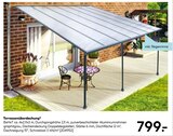 Terrassenüberdachung im Angebot bei Hellweg in Siegen Terrassenüberdachung Angebote bei Hellweg Siegen für 799,00 €