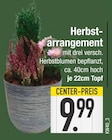 Herbstarrangement im EDEKA Prospekt Herbstarrangement im aktuellen EDEKA Prospekt für 9,99 €