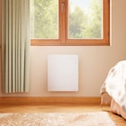 Radiateur électrique à inertie sèche en fonte Noirot Walter 2 1000 W horizontal blanc - Noirot dans le catalogue Castorama