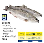 Saibling im METRO Prospekt Saibling von Pro Trace im aktuellen METRO Prospekt für 13,90 €