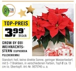 OBI Breisach (Rhein) Prospekt mit  im Angebot für 3,99 €