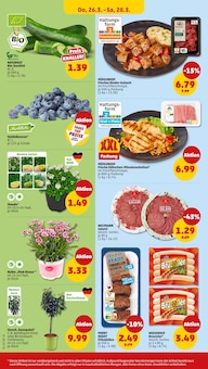 Obstbaum im Penny Prospekt "Wer günstig will, muss Penny." mit 40 Seiten (Solingen (Klingenstadt))