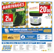 Fleurs Angebote im Prospekt "100% ARRIVAGES : PRIX BAS EN QUANTITÉ LIMITÉE" von Brico Cash auf Seite 8