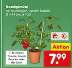 Aktuelles Naschgemüse Angebot bei Netto Marken-Discount in Bochum ab 7,99 €