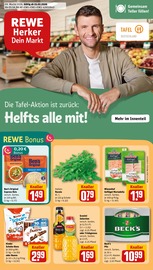 REWE Supermarkt Prospekt der aktuellen Woche mit 34 Seiten, gültig von 23.02.2026 bis 28.02.2026, in Timmenrode und Umgebung Aktueller REWE Supermarkt Prospekt in Timmenrode und Umgebung, "Dein Markt" mit 34 Seiten, 23.02.2026 - 28.02.2026