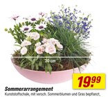 Sommerarrangement im toom Baumarkt Prospekt Sommerarrangement von im aktuellen toom Baumarkt Prospekt für 19,99 €