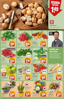 Farbe im REWE Prospekt "Dein Markt" mit 36 Seiten (Berlin)