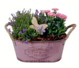 Arrangement 'Flowers & Garden' Angebote bei toom Baumarkt Siegburg für 15,99 €