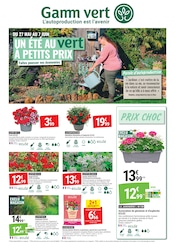 Promos Géranium dans le catalogue "UN ÉTÉ AU VERT À PETITS PRIX" de Gamm vert Géranium en promo dans le catalogue Gamm vert à la page 1