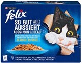 Aktuelle Felix Katzenfutter Angebote bei Kaufland in Kiel Aktuelles Katzennahrung Angebot bei Kaufland in Kiel ab 3,79 €